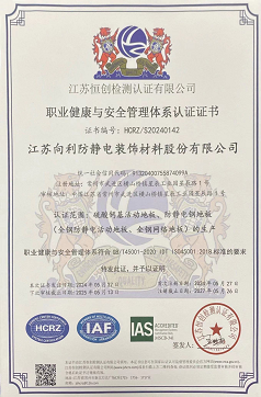 职业健康与安全管理体系认证证书.PNG